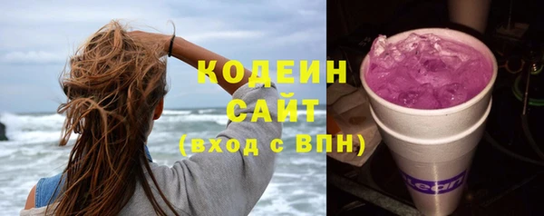 сатива Арсеньев