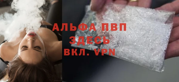 сатива Арсеньев