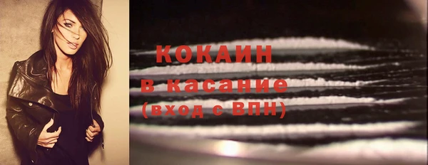спайс Аркадак