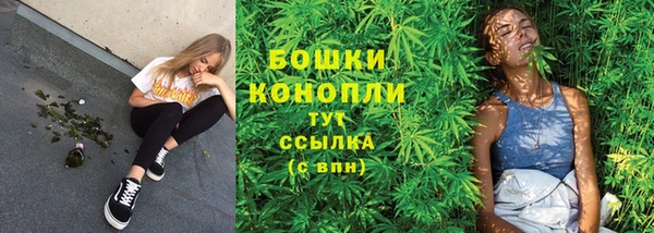 сатива Арсеньев