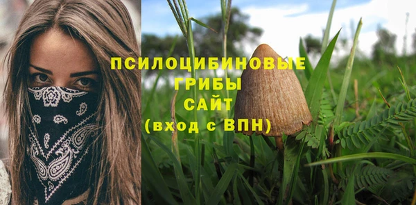 сатива Арсеньев