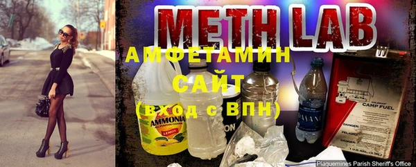 сатива Арсеньев
