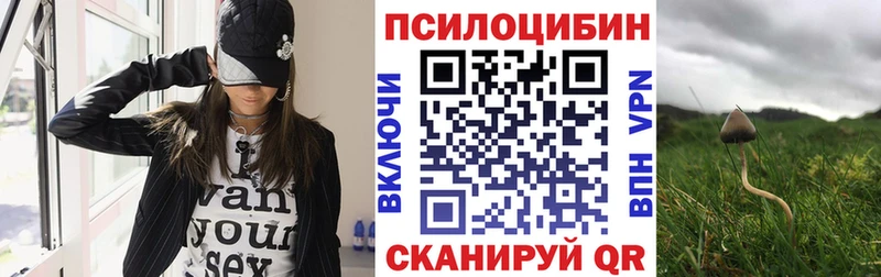 Псилоцибиновые грибы Psilocybine cubensis  Мелеуз 